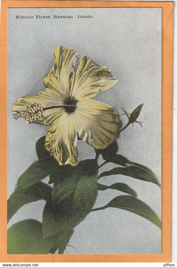Honolulu Hawaii 1908 Postcard - Honolulu