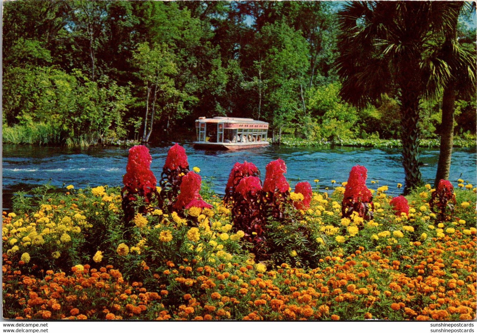 Florida Silver Springs Gardens Along The Silver River 1976 - Silver Springs