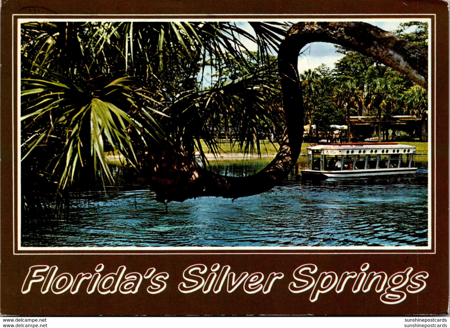 Florida Silver Springs Horse Shoe Palm And Glass Bottom Boat 1984 - Silver Springs