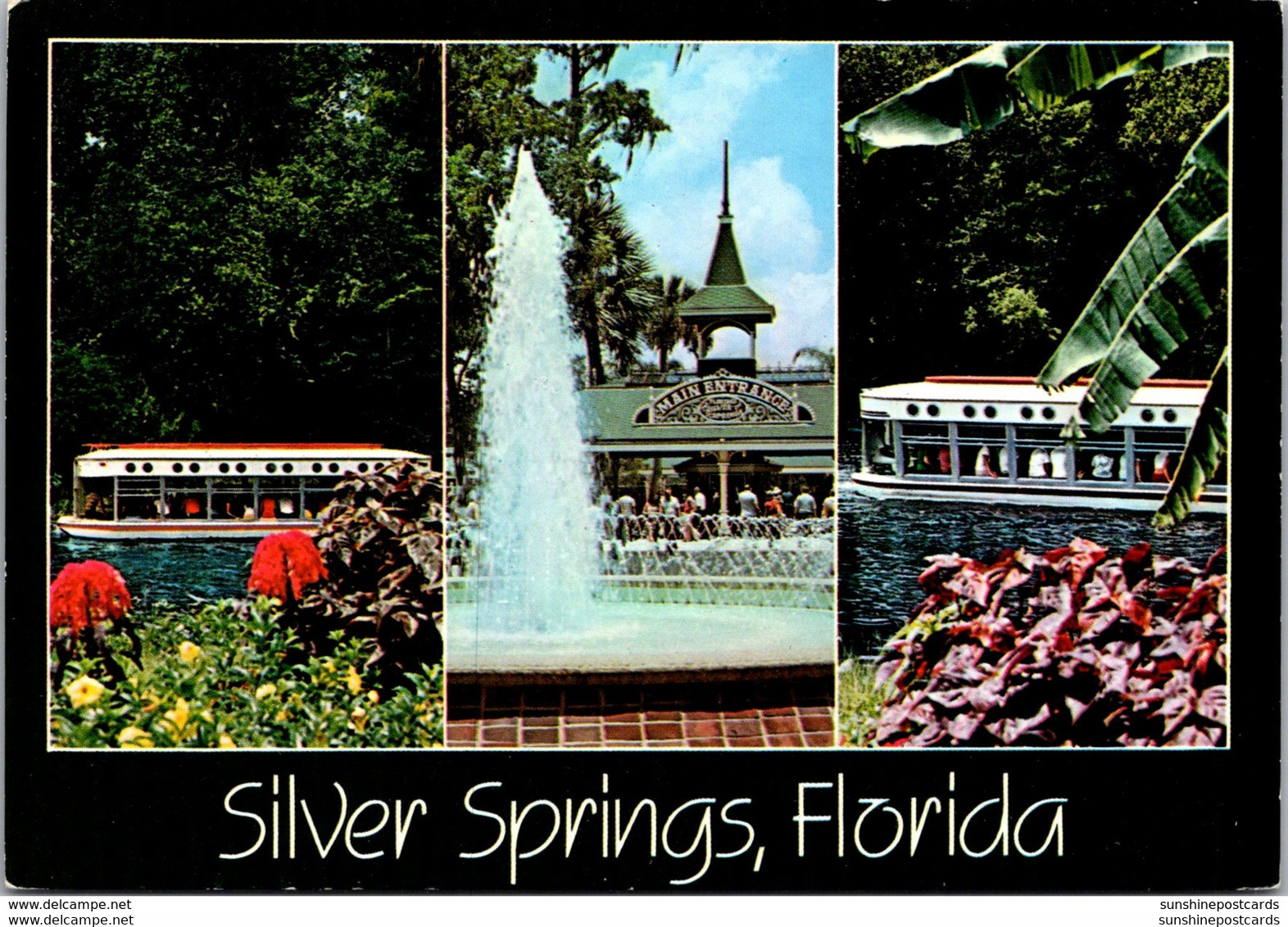 Florida Silver Springs Fountain At Entrance And Glass Bottom Boats - Silver Springs