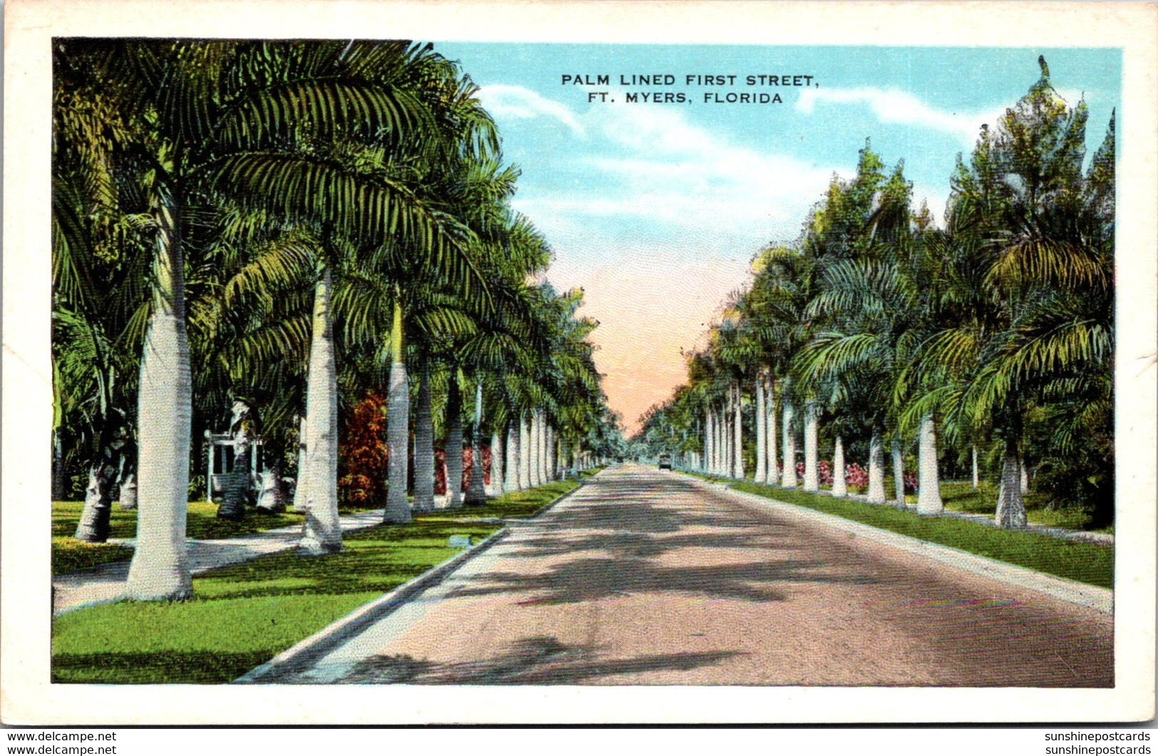 Florida Fort Myers Palm Lined First Street - Fort Myers