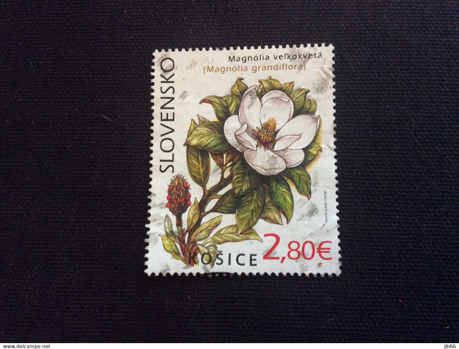 2020 Michel 905 Oblitéré Used Botanic Garden Jardin Botanique De Kosice Magnolia - Used Stamps