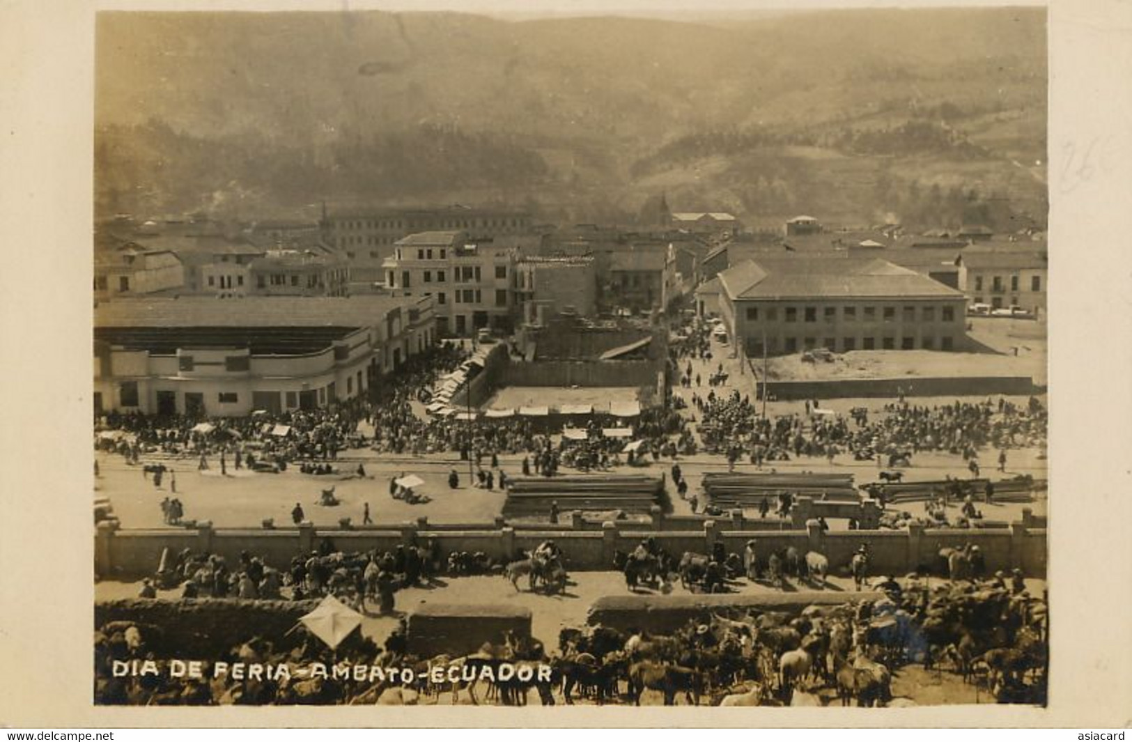 Real Photo Ambato Ecuador Dia De Feria Market Place  Chevaux  Bovins Cattle - Equateur