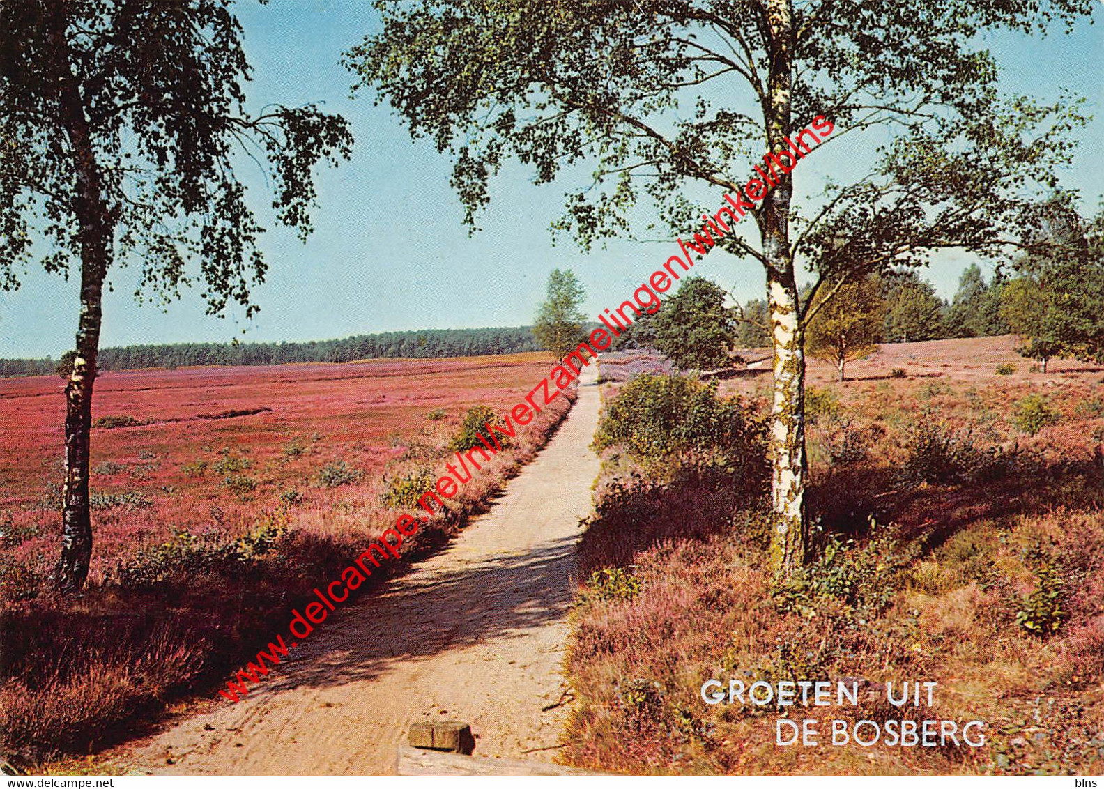 Groeten Uit De Bosberg - Houthalen - Houthalen-Helchteren