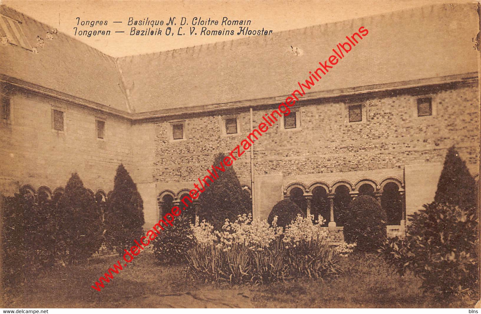 Basiliek - O.L.V. Romeins Klooster - Tongeren - Tongeren