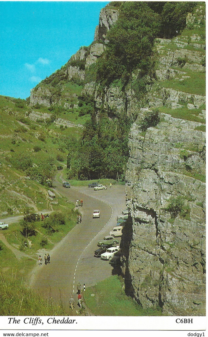 THE CLIFFS, CHEDDAR, SOMERSET, ENGLAND. UNUSED POSTCARD   Ls2 - Cheddar