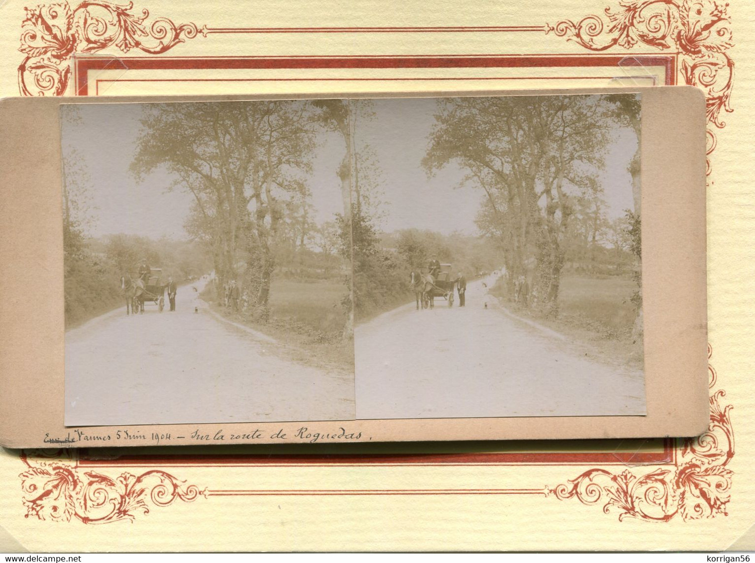 ENVIRON D ARRADON  *** CONLEAU *** UN ATTELAGE  ROUTE DE ROGUEDAS LE 05 JUIN 1904*** PHOTO STEREO *** - Arradon