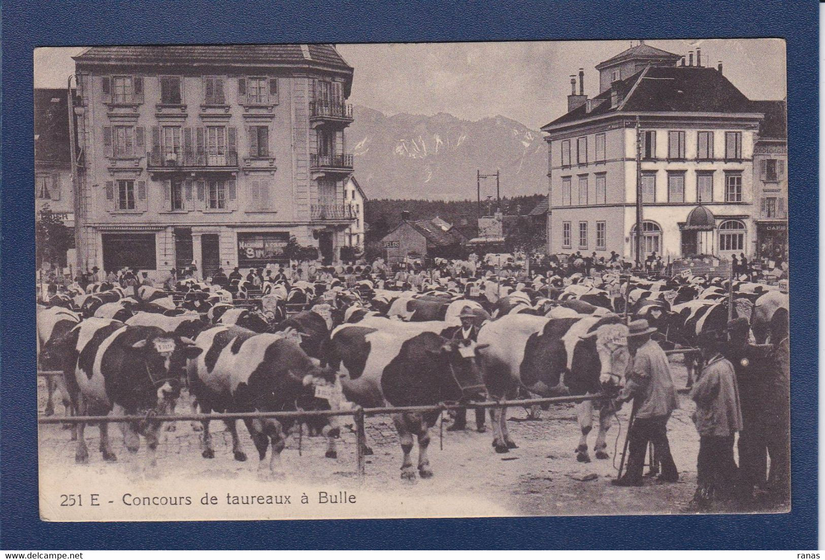 CPA Suisse > FR Fribourg Bulle Concours De Taureaux Non Circulé - Bulle