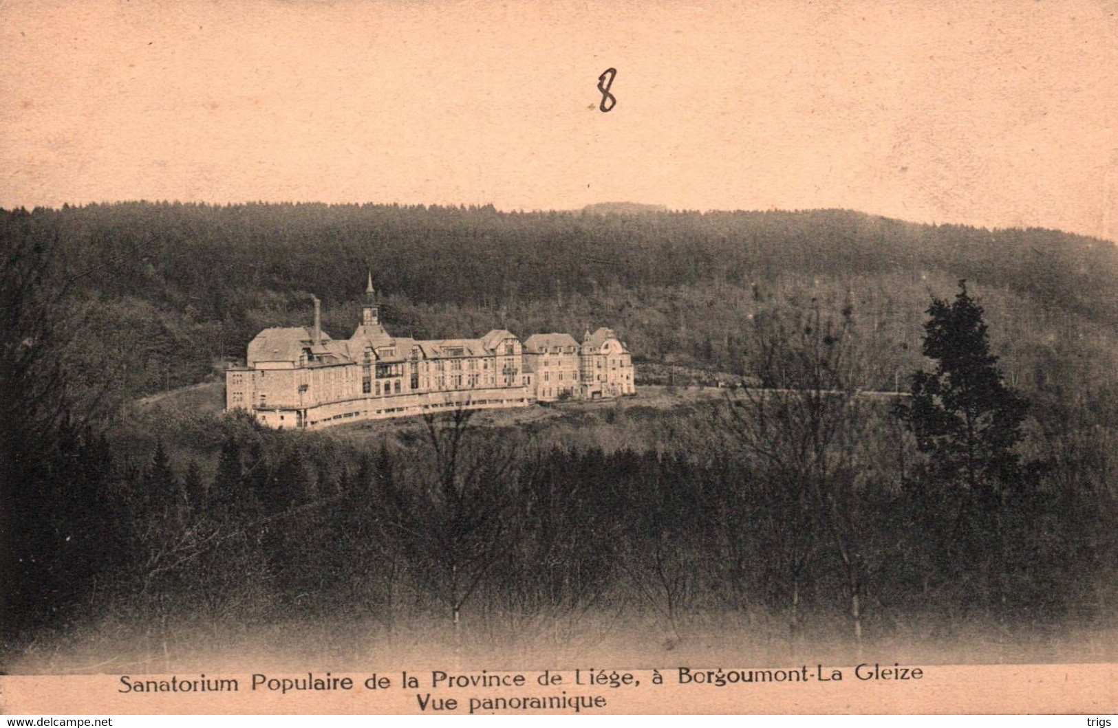 Borgoumont La Gleize (Sanatorium Populaire De La Province De Liège) - Vue Panoramique - Stoumont