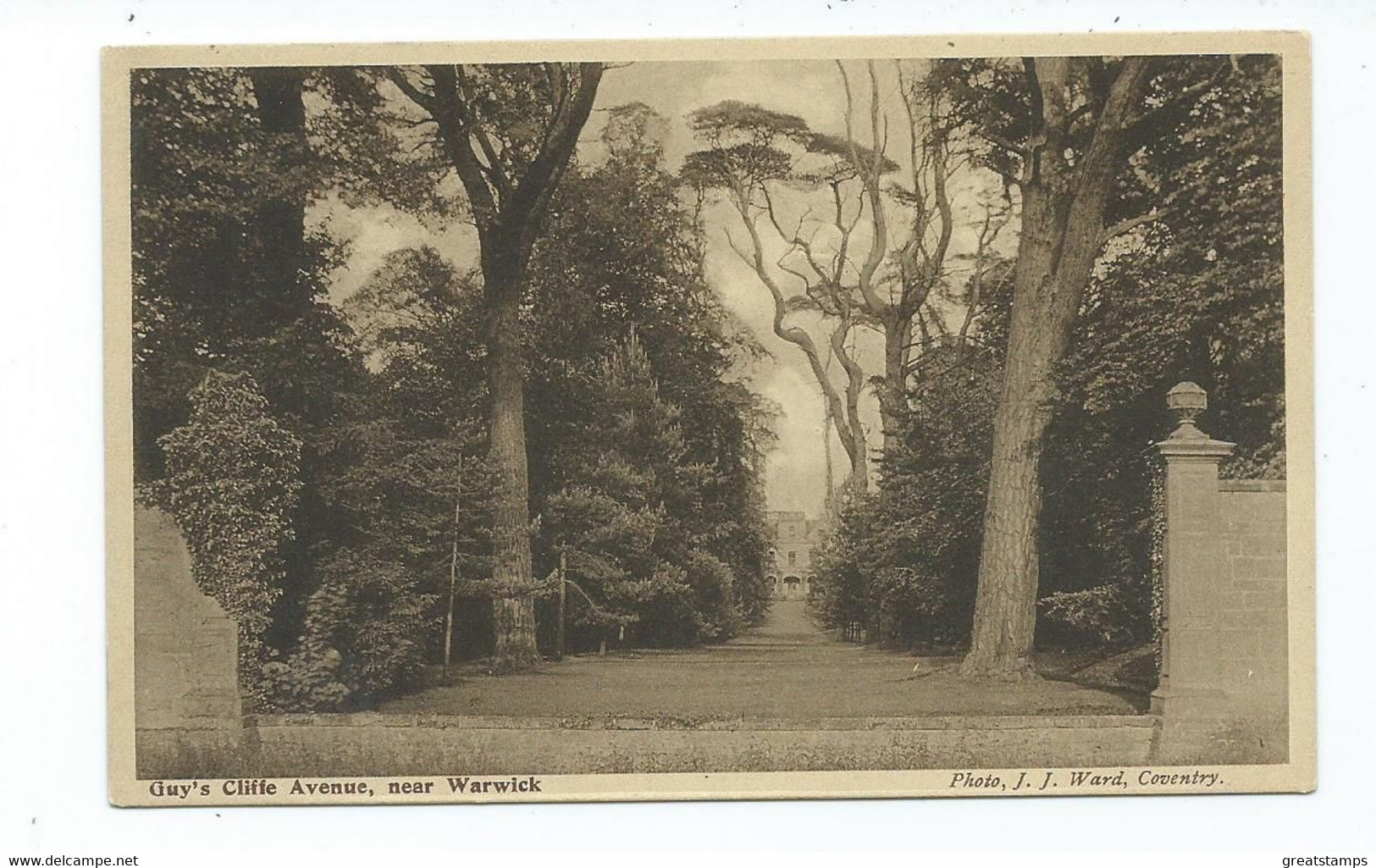 Postcard Warwickshire Guy's Cliffe Avenue Near Warwick Unused - Warwick