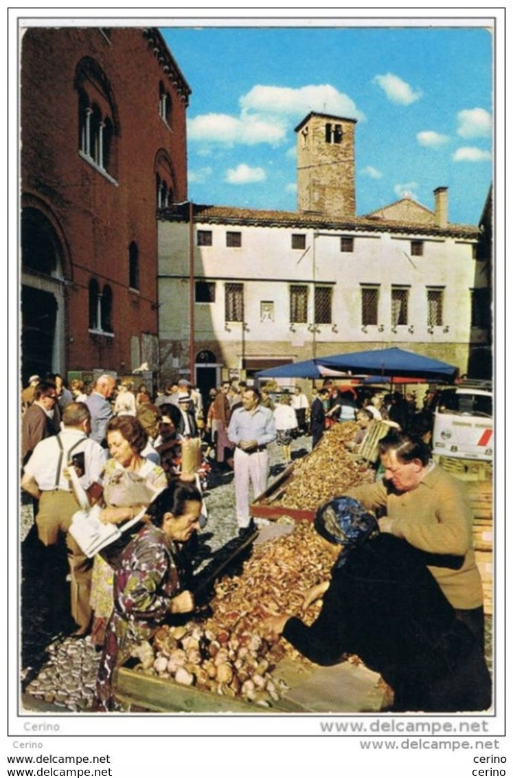 TREVISO:  PIAZZETTA  MONTE  DI  PIETA'  -  FG - Halles