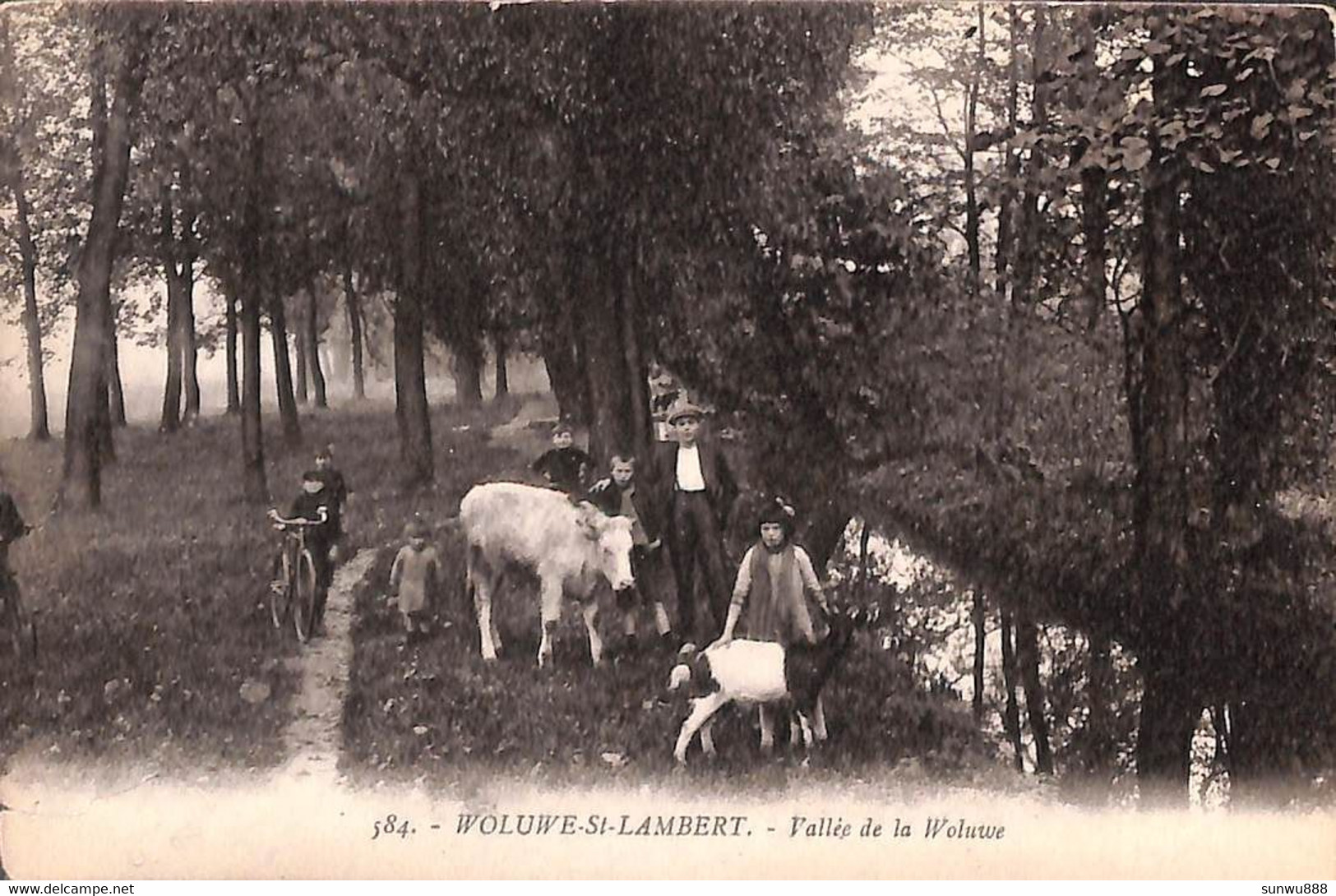 Woluwe Saint Lambert - Vallée De La Woluwe (animée Edit Henri Georges Découpe 2 Cm Peu Visible) - Woluwe-St-Lambert - St-Lambrechts-Woluwe