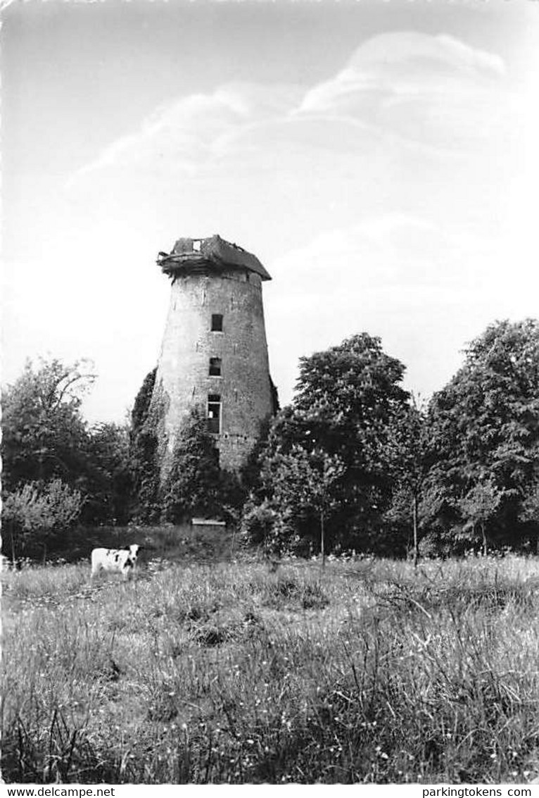 E167 - Morette Asse Windmolen - Molen - Moulin - Mill - Mühle - Asse