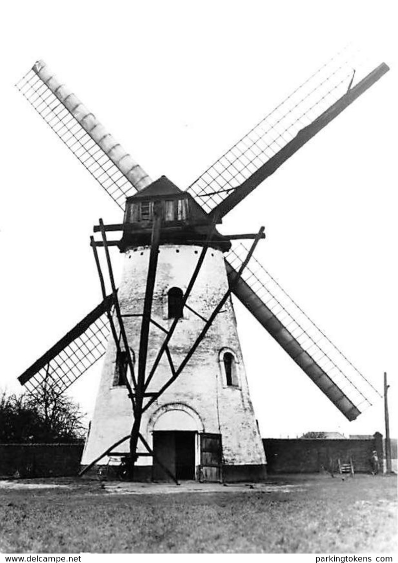 E181 - Aalter Meetjesland Molen Lambrechts - Molen - Moulin - Mill - Mühle - Aalter