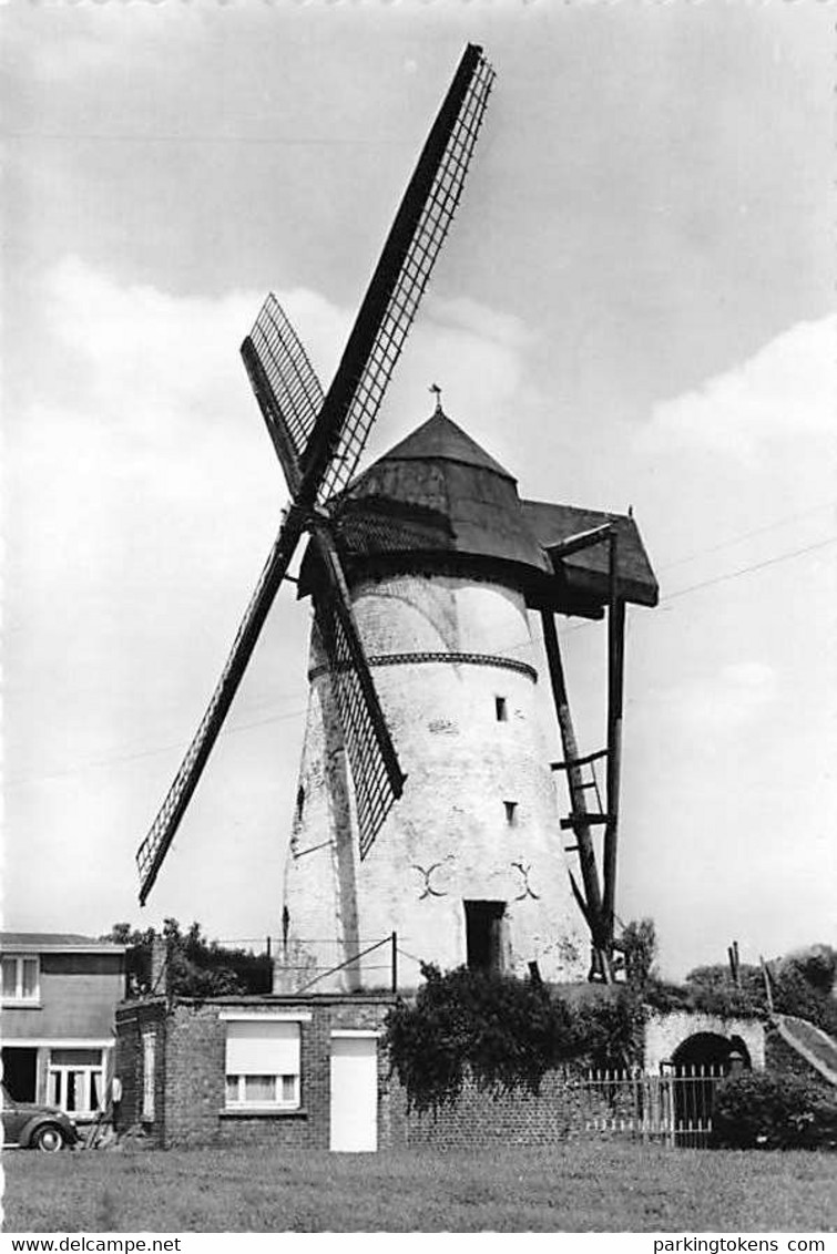 E184 - Denderwindeke Ninove - Molen - Moulin - Mill - Mühle - Ninove