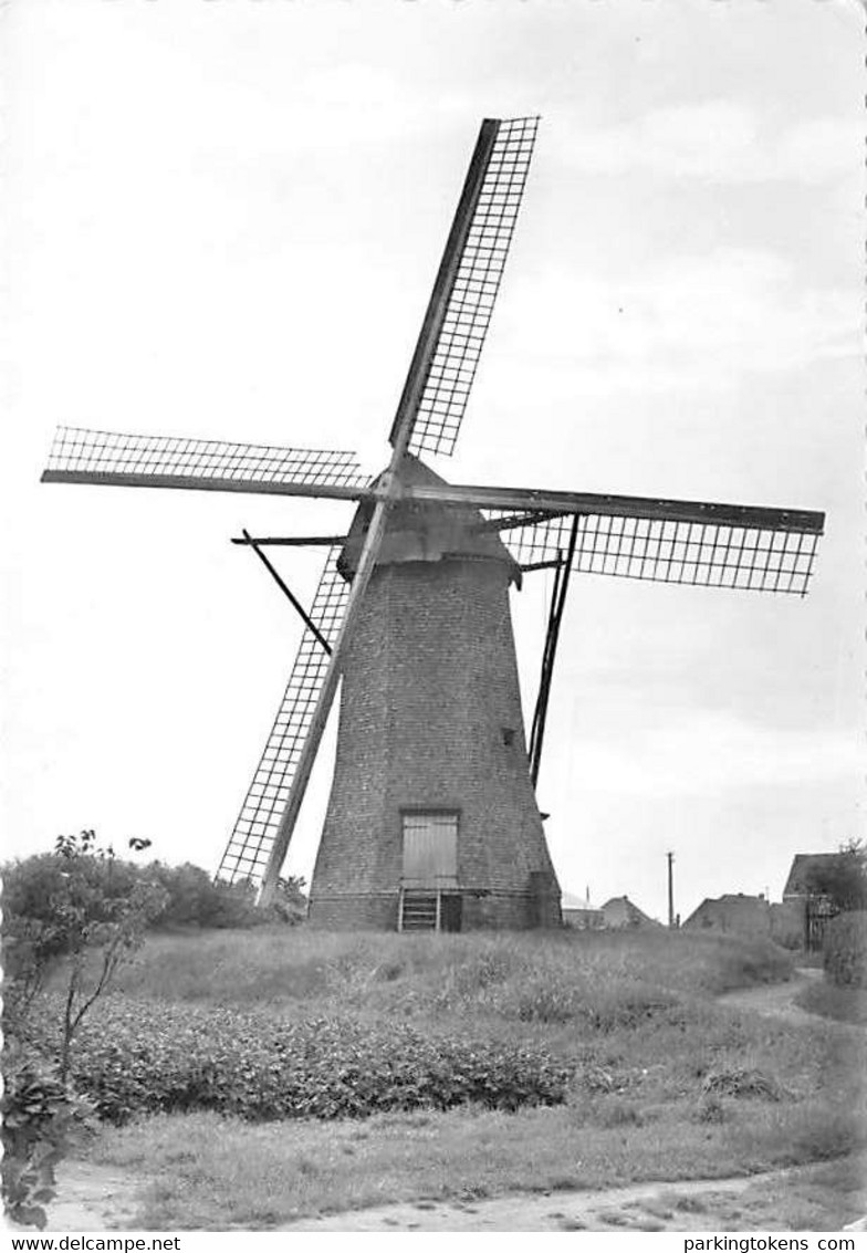 E191 - Arendonk - Molen - Moulin - Mill - Mühle - Arendonk