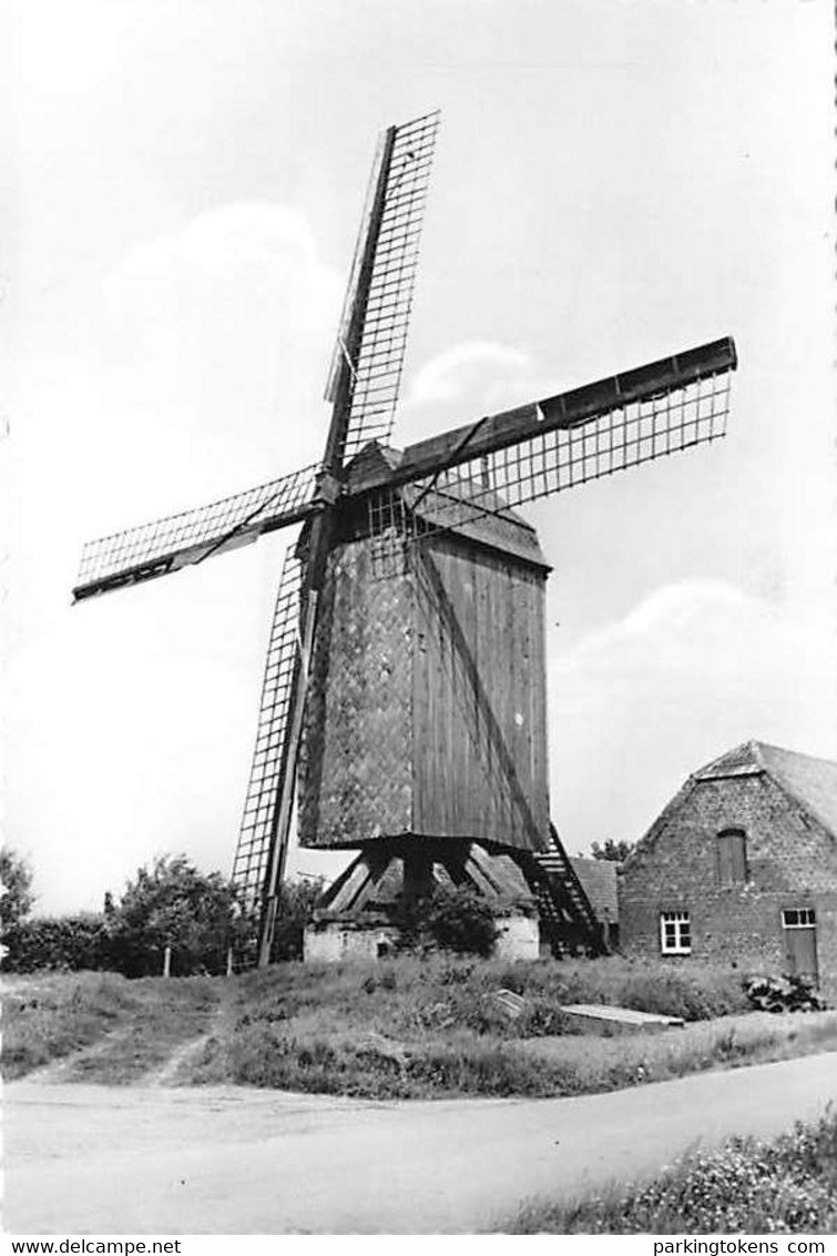 E206 Langemark Sint Juliaan Steenakkermolen - Molen - Moulin - Mill - Mühle - Langemark-Poelkapelle