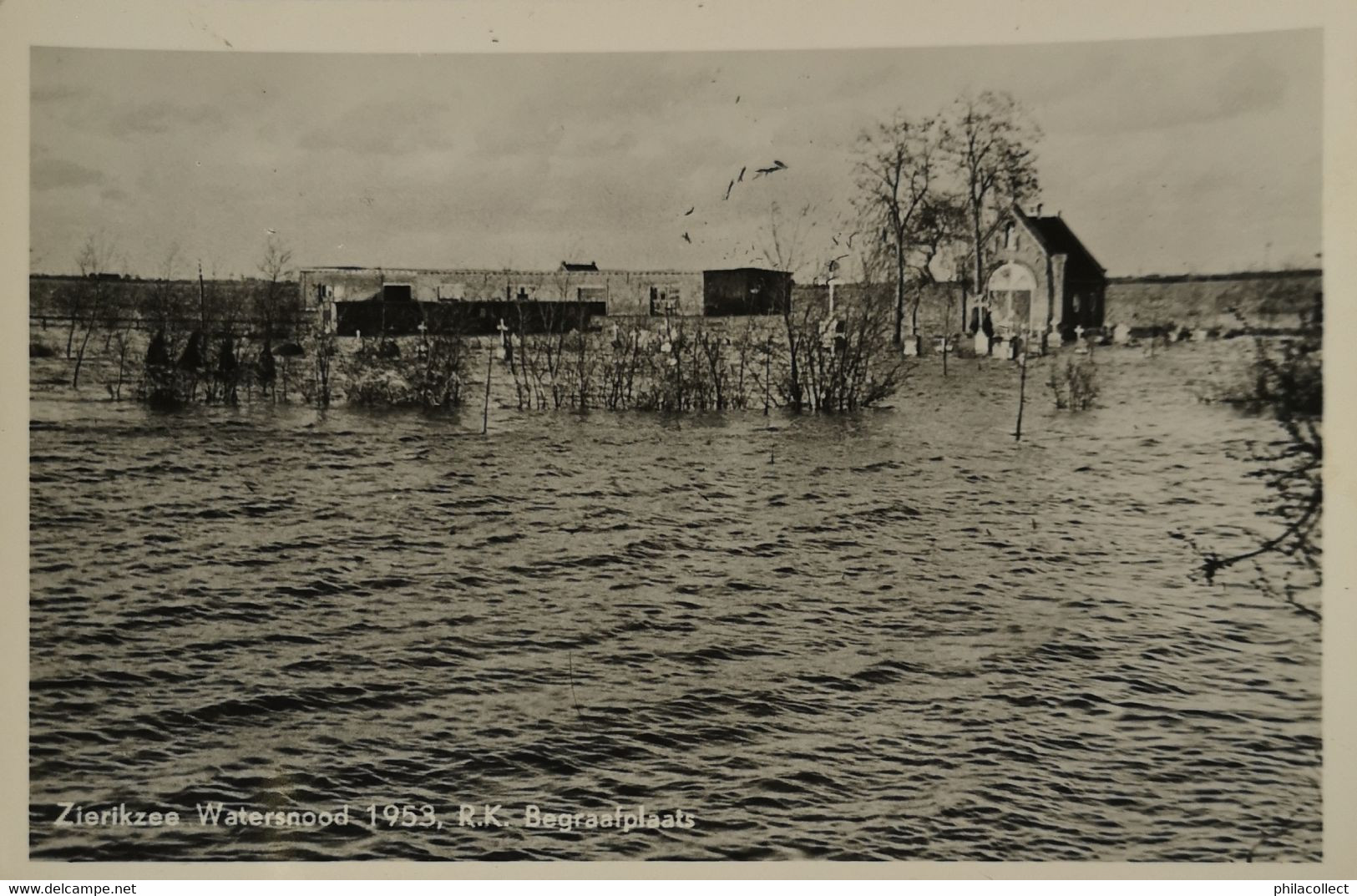 Zierikzee // RK Begraafplaats  - Watersnood 1953 - Zierikzee