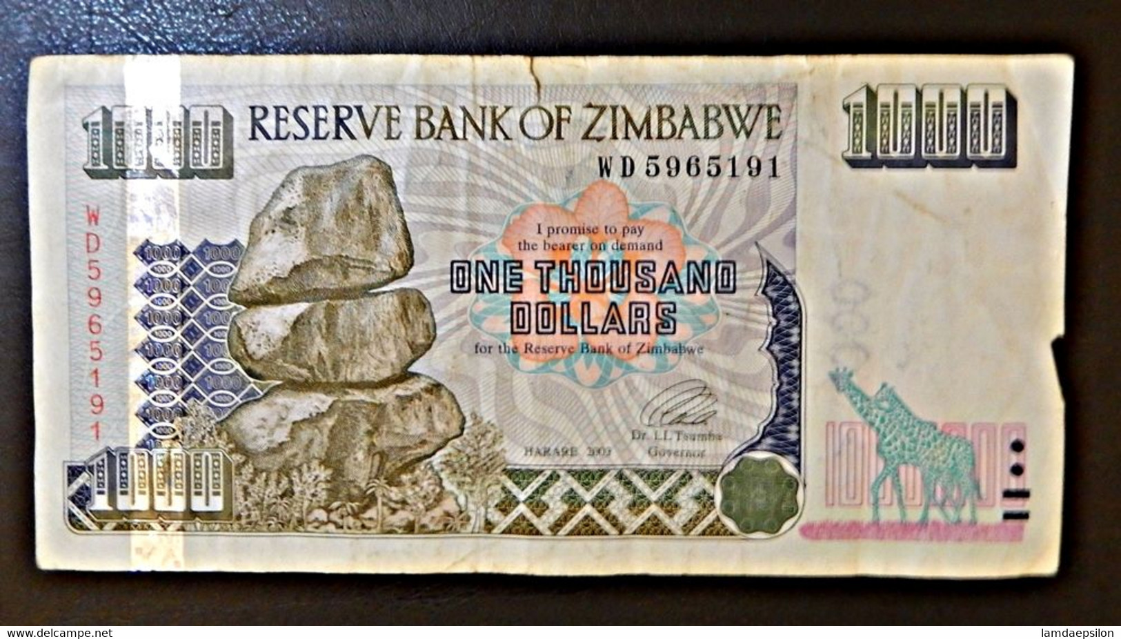 A4 ZIMBABWE  BILLETS DU MONDE WORLD BANKNOTES  1000 DOLLARS 2003 - Zimbabwe