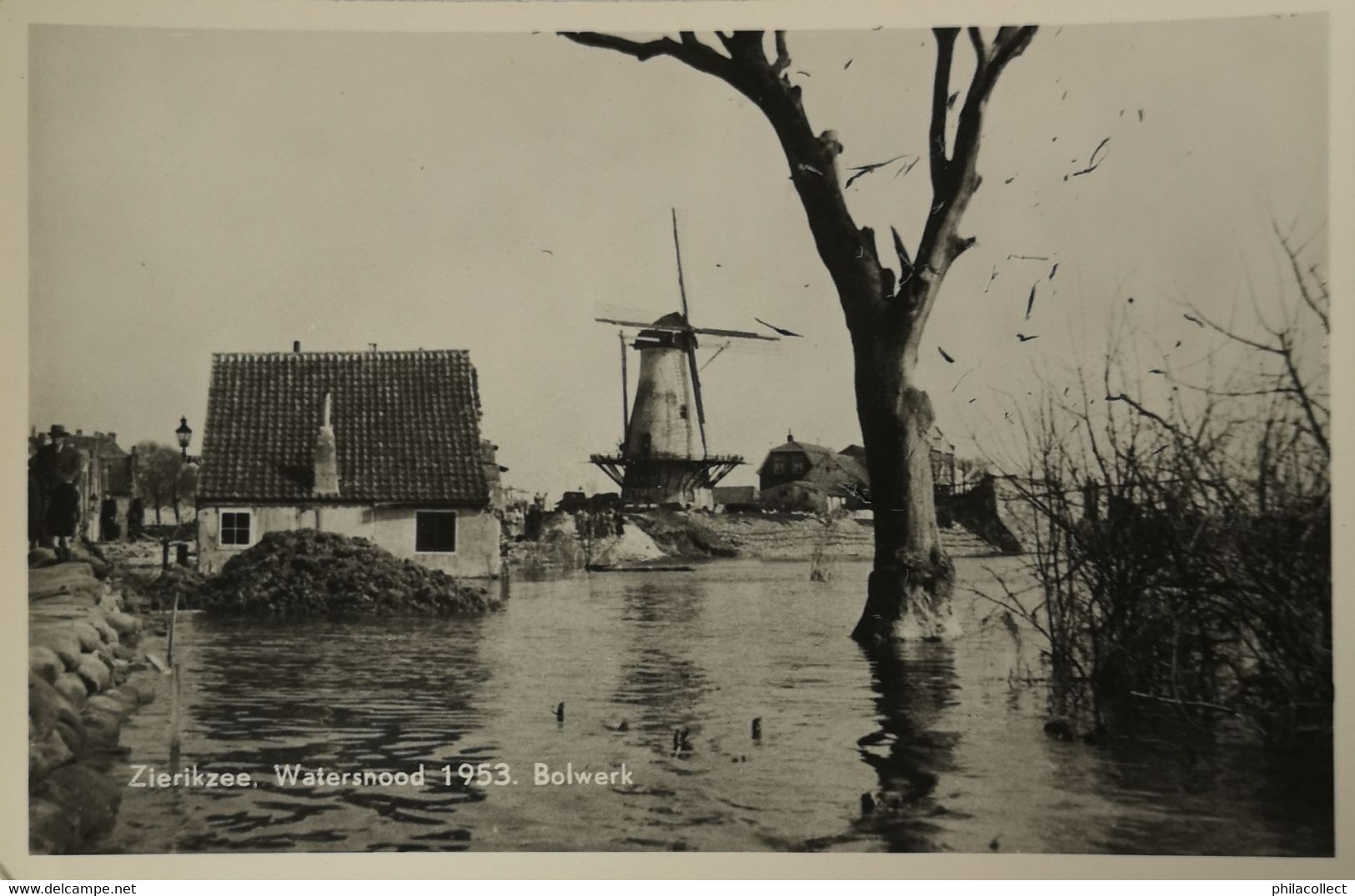 Zierikzee // Bolwerk (Molen) - Watersnood 1953 - Zierikzee