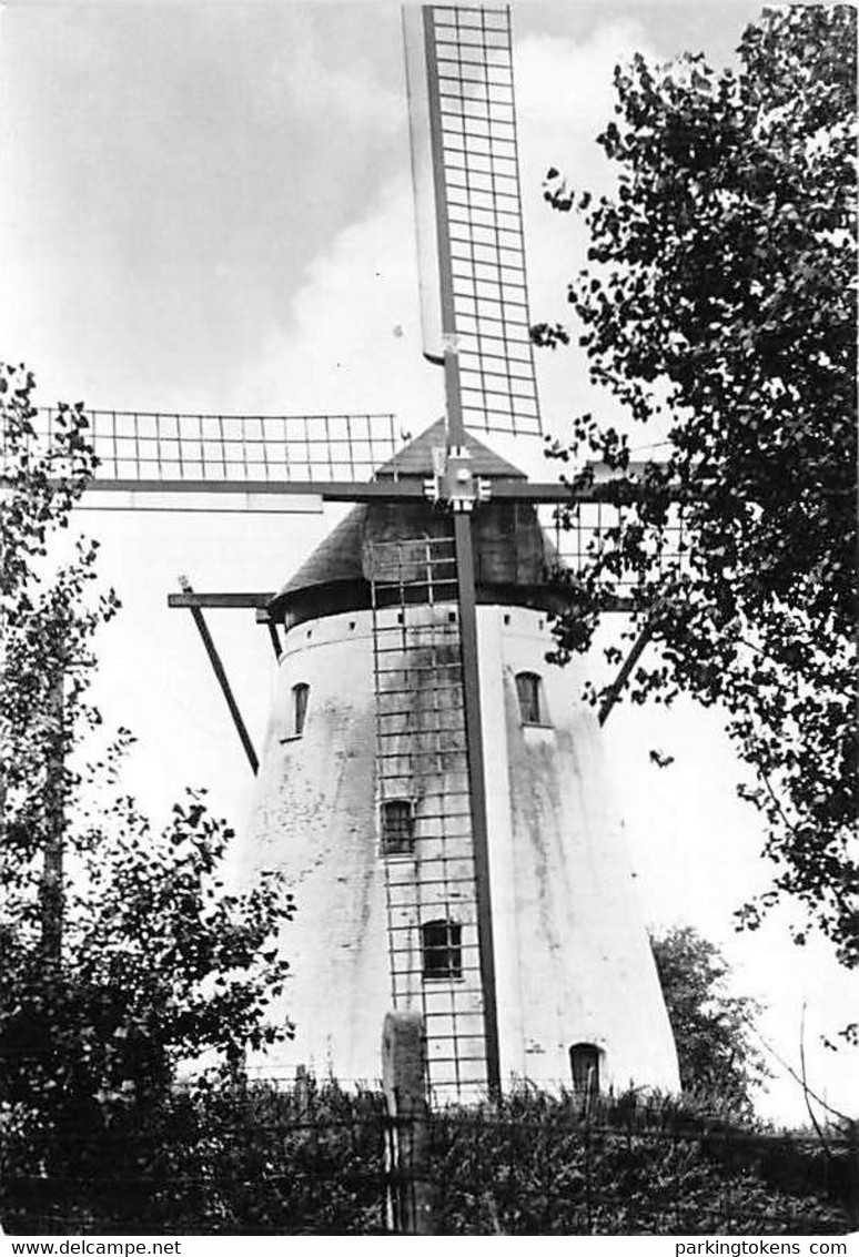 E220 - Tiegem Anzegem Stampermolen - Molen - Moulin - Mill - Mühle - Anzegem