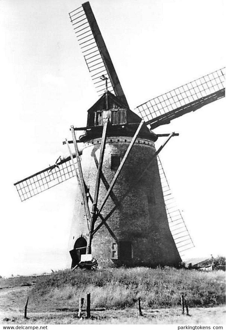 E221 - Roksem Oudenburg Witte Molen - Molen - Moulin - Mill - Mühle - Oudenburg