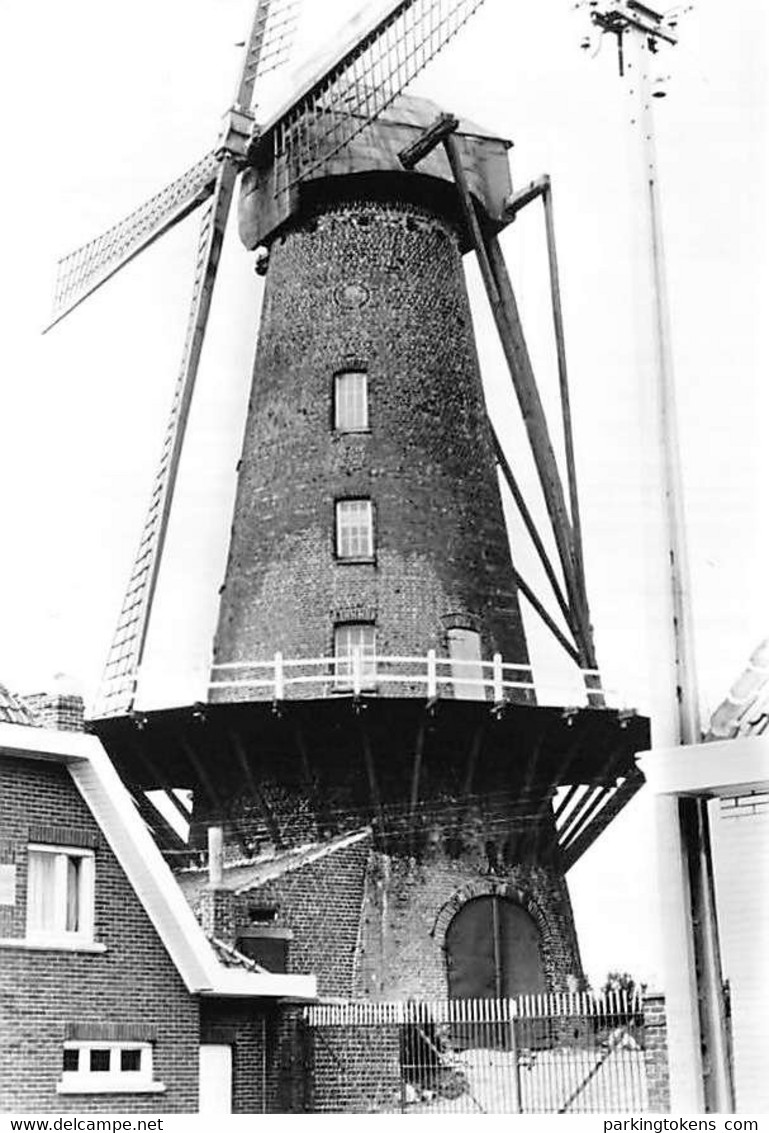 E223 - Hulste Harelbeke Muizelmolen - Molen - Moulin - Mill - Mühle - Harelbeke