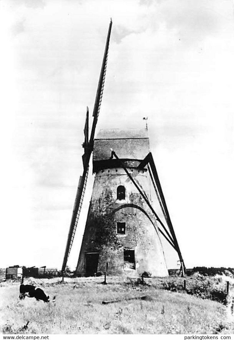 E227 - Beveren Alveringem Brouckmolen - Molen - Moulin - Mill - Mühle - Alveringem