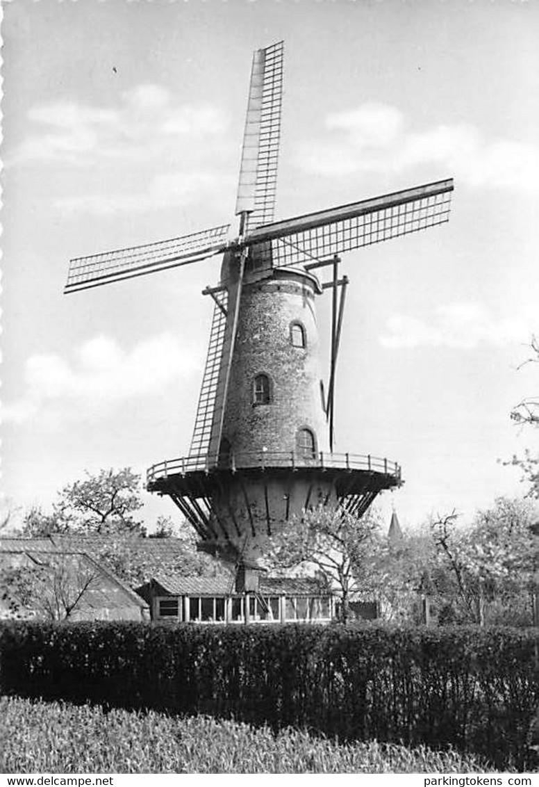 E228 - Ruiselede Molen Van Hoste - Molen - Moulin - Mill - Mühle - Ruiselede