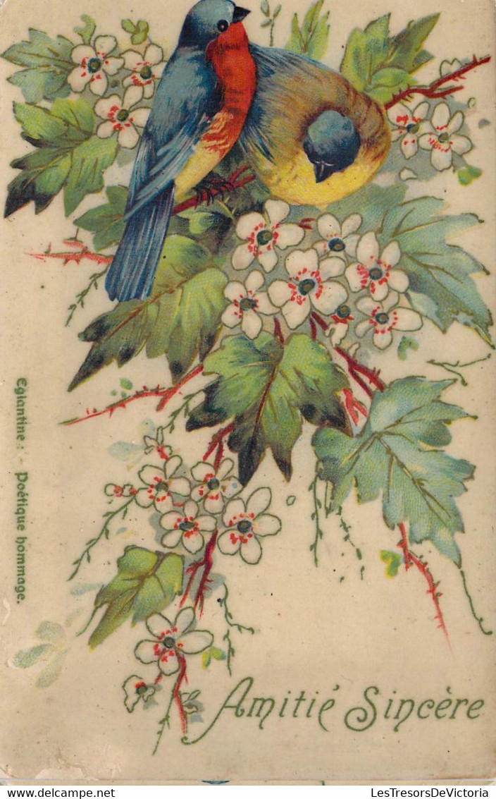 CPA - OISEAUX - Illustration De Mésanges Posées Sur Un Arbre Aux Fleurs Blanches - Amitié Sincère - Oiseaux