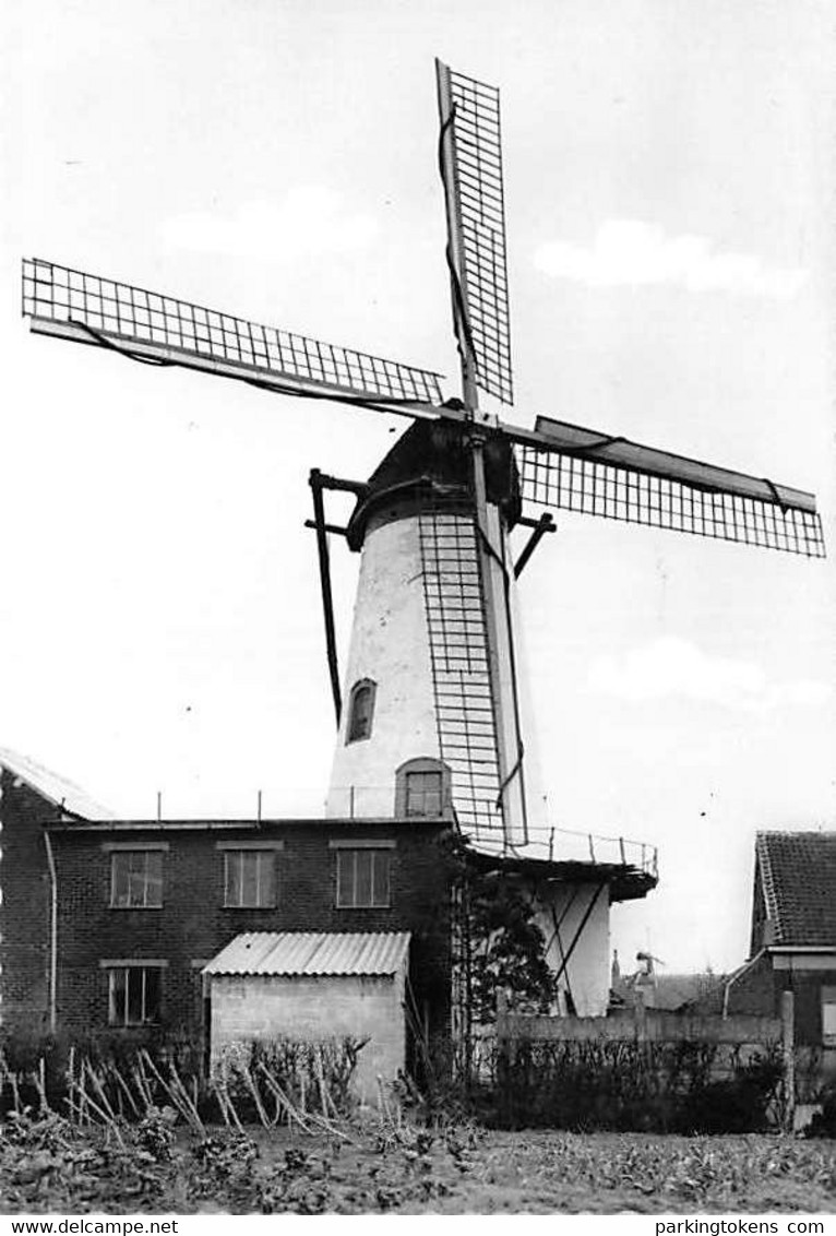 E242 - Ruiselede - Molen - Moulin - Mill - Mühle - Ruiselede