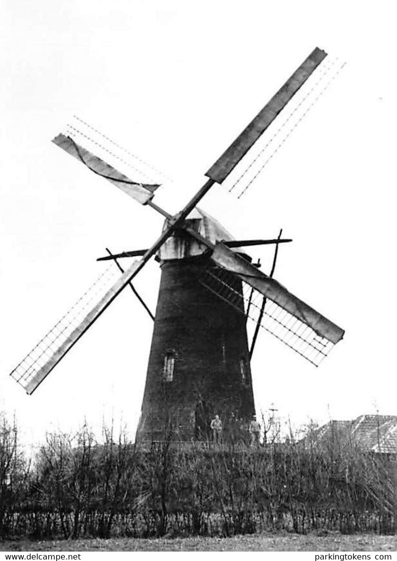 E243 - Heule Kortrijk Molen De Landtsheer - Molen - Moulin - Mill - Mühle - Laarne