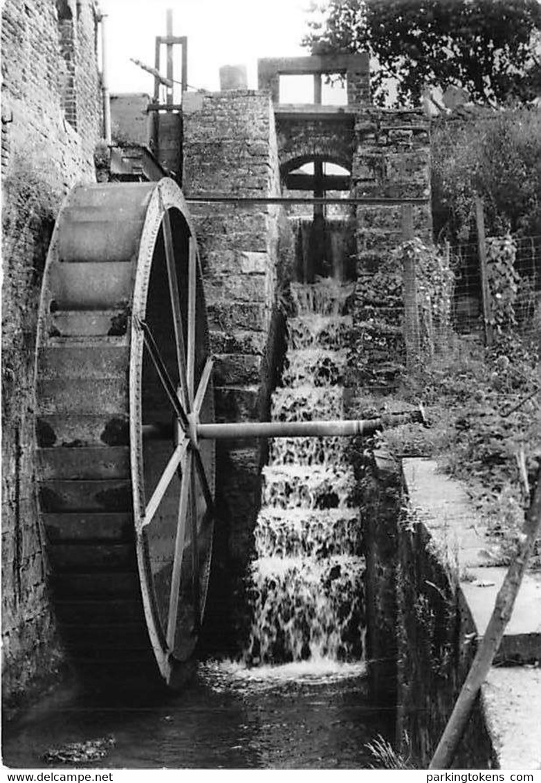 E250 - Schorisse Maarkedal Watermolen - Molen - Moulin - Mill - Mühle - Lede