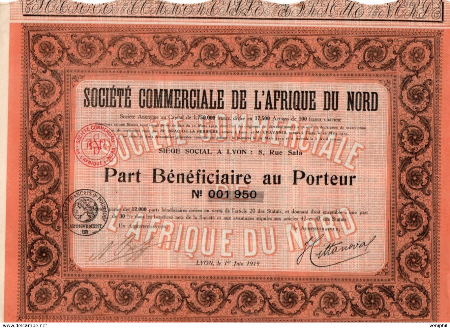 SOCIETE COMMERCIALE DE L'AFRIQUE DU NORD -PART BENEFICIAIRE  -ANNEE 1919 - Afrique