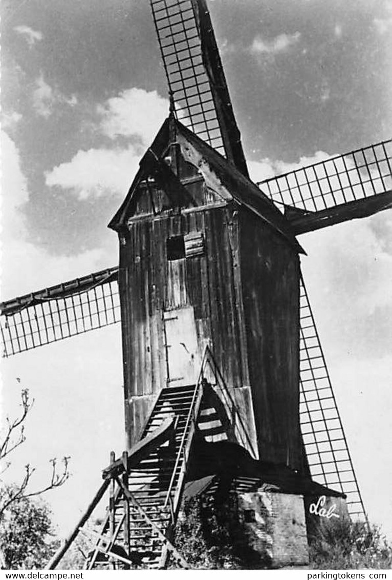 E253 - Laethem-Saint-Martin Windmolen - Molen - Moulin - Mill - Mühle - Sint-Martens-Latem