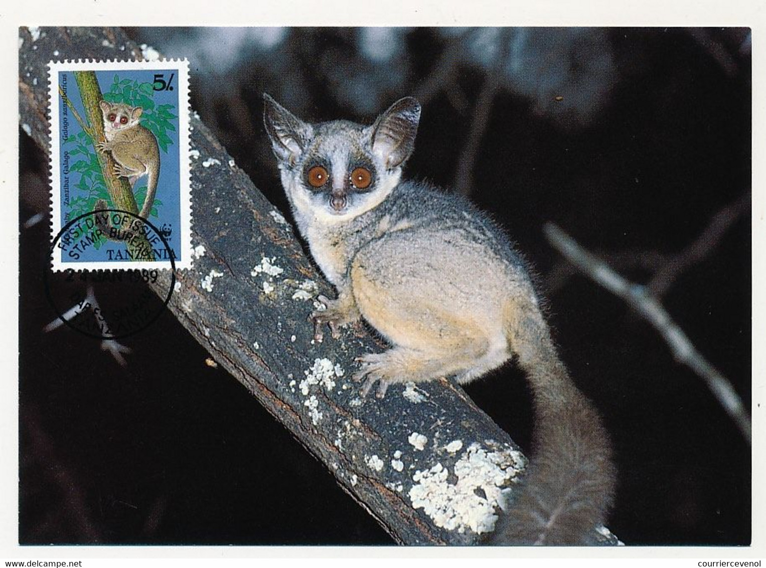 TANZANIE - 4 Cartes Maximum - Série "Galago" (Primates) - 24 Janvier 1989 - Dar Es Salam - Tanzania (1964-...)