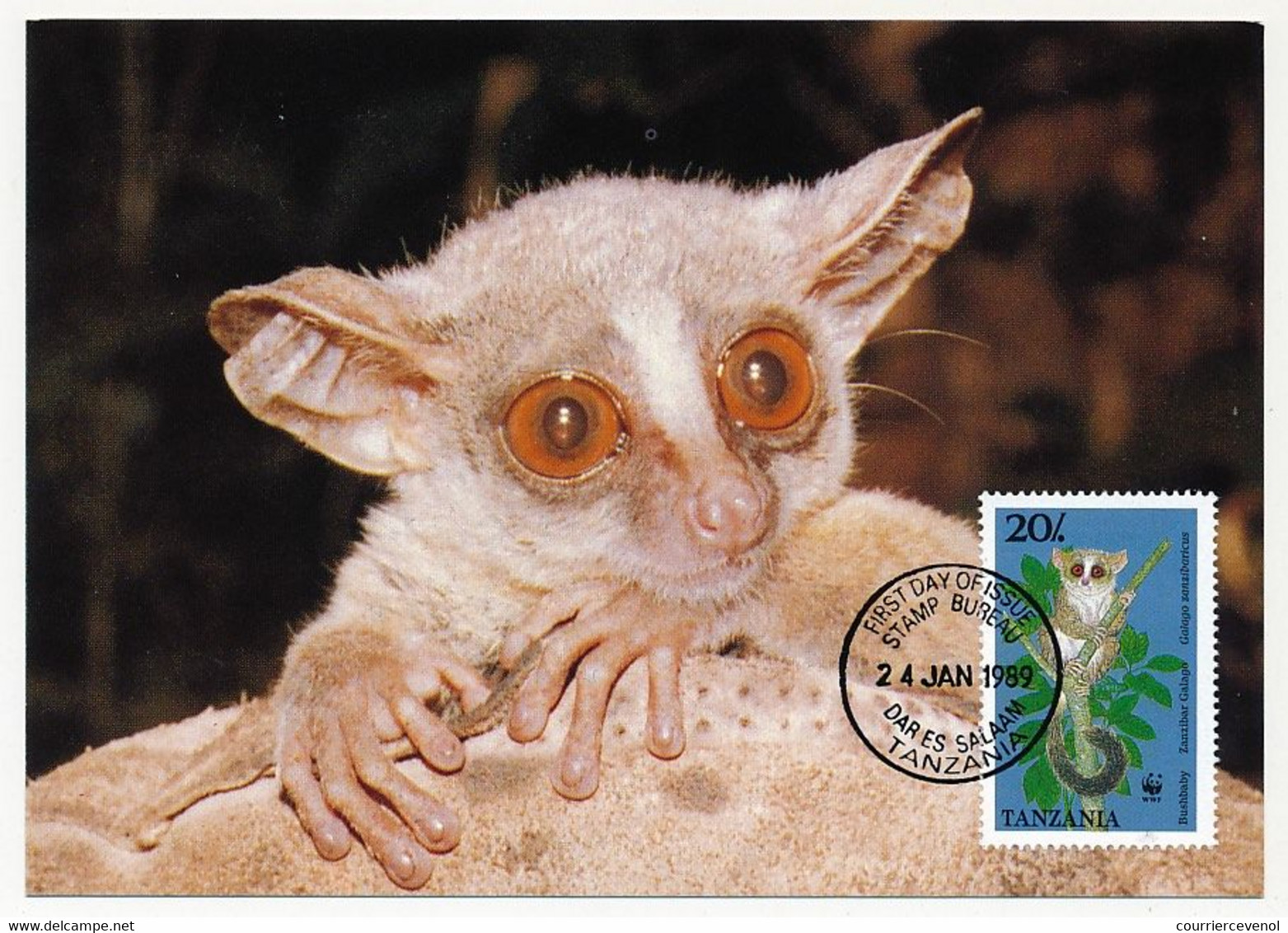 TANZANIE - 4 Cartes Maximum - Série "Galago" (Primates) - 24 Janvier 1989 - Dar Es Salam - Tanzanie (1964-...)
