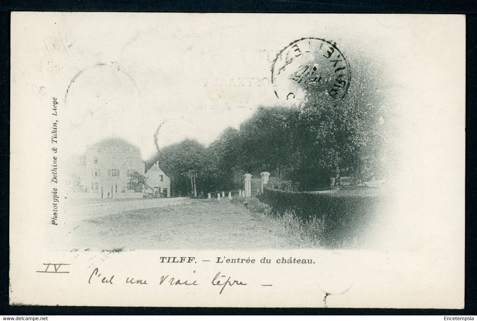 CPA - Carte Postale - Belgique - Tilff - L'Entrée Du Château - 1900 (CP20967) - Esneux