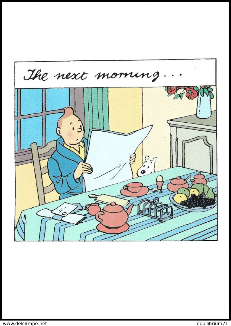 Double Carte Pliante / Dubbele Vouwkaart** - Tintin / Kuifje / Tim - Milou / Bobbie / Struppi - Haddock - Tournesol - Philabédés (comics)