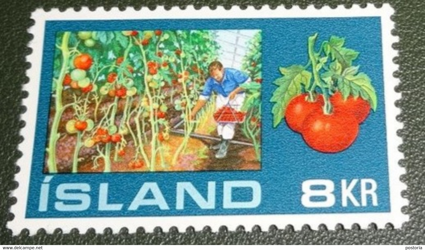 IJsland - 1972 - Michel 465 - Gebruikt - Postfris - MNH - Kassen - Tomatenkas Verwarmd Met Geothermische Energie - Ungebraucht