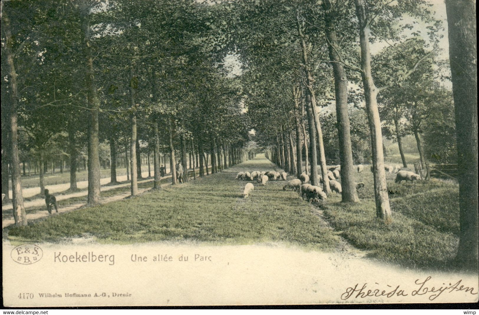 KOEKELBERG : Une Allée Du Parc - Koekelberg