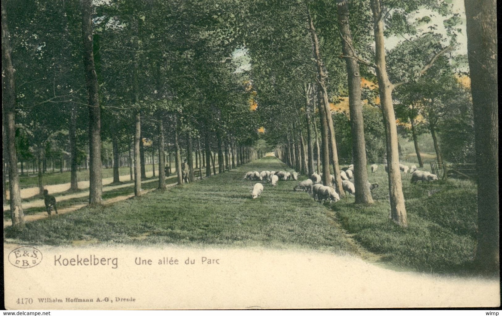 KOEKELBERG : Une Allée Du Parc / Kleurenkaart - Koekelberg