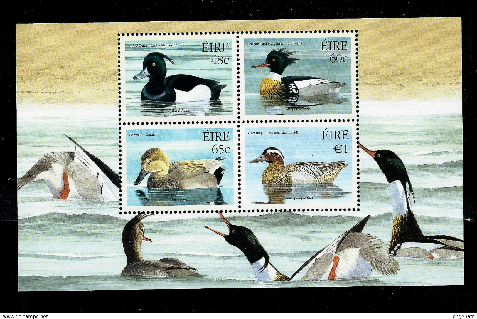 Oiseaux - Birds - Vogels : 1 Bloc Et 4 Timbres (canards)  (état: **) - Neufs