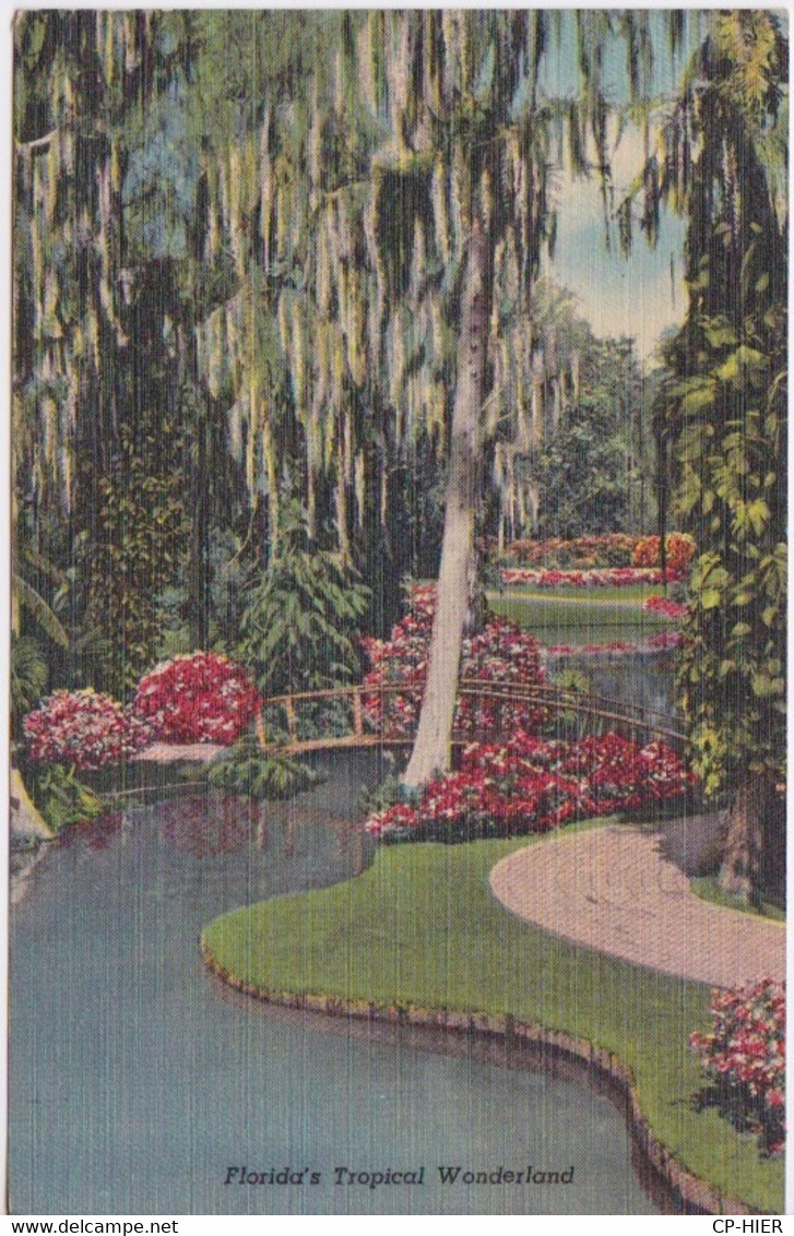 USA - ETATS-UNIS - FLORIDE FLORIDA - JARDIN TROPICAL PALM BEACH 1952 - Palm Beach