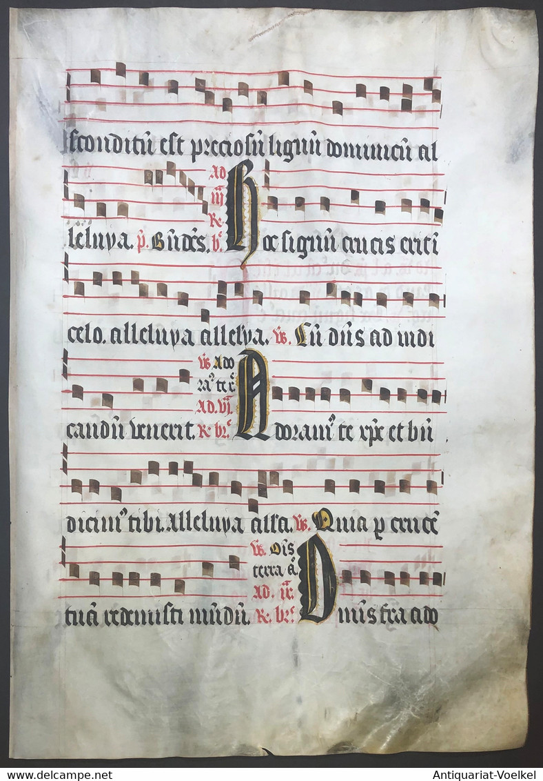 Very Rare Large Elephant Folio Vellum Sheet. Out Of An Antiphonary Manuscript From The 15th Century. / Seltene - Theater & Scripts