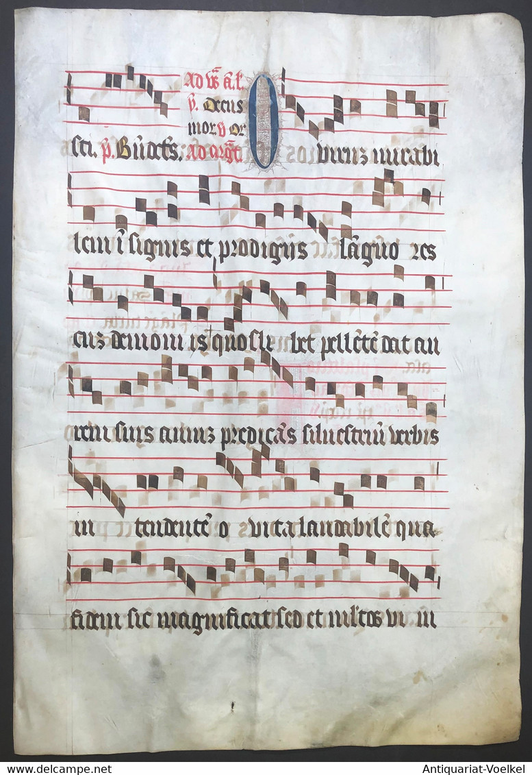 Very Rare Large Elephant Folio Vellum Sheet. Out Of An Antiphonary Manuscript From The 15th Century. / Seltene - Theater & Scripts