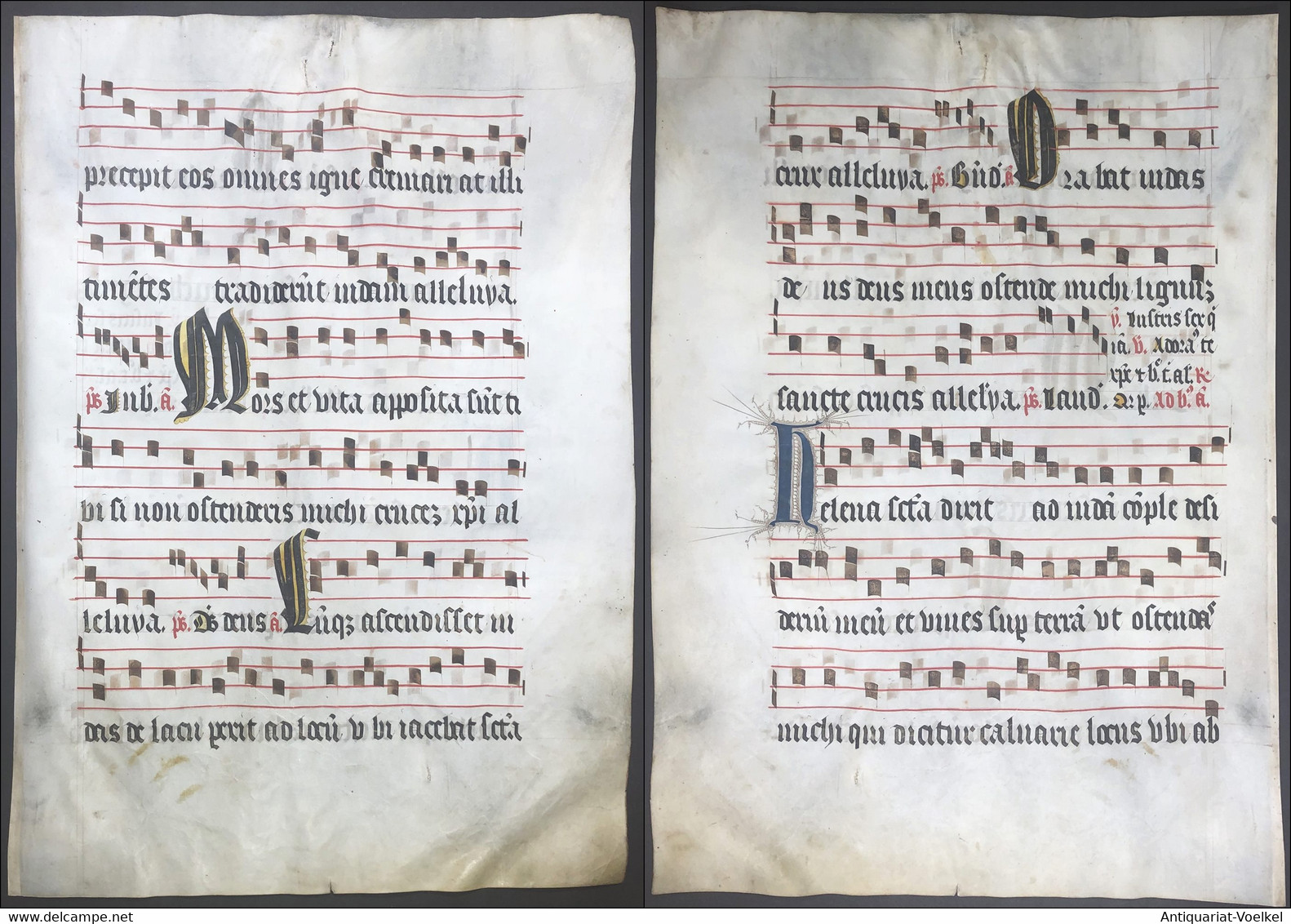 Very Rare Large Elephant Folio Vellum Sheet. Out Of An Antiphonary Manuscript From The 15th Century. / Seltene - Theater & Drehbücher