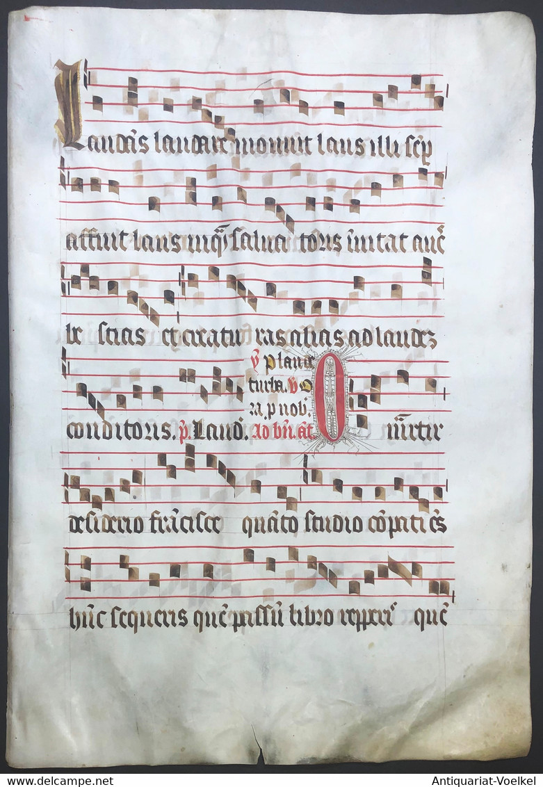 Very Rare Large Elephant Folio Vellum Sheet. Out Of An Antiphonary Manuscript From The 15th Century. / Seltene - Théâtre & Scripts