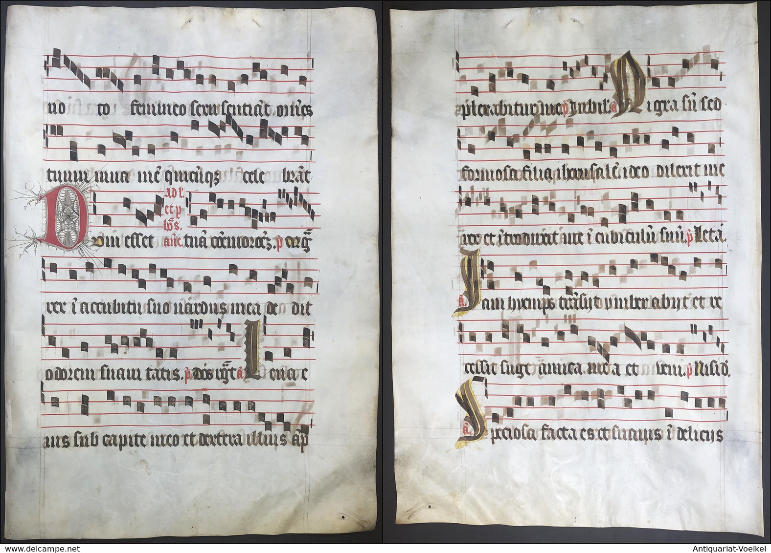 Very Rare Large Elephant Folio Vellum Sheet. Out Of An Antiphonary Manuscript From The 15th Century. / Seltene - Theater & Scripts