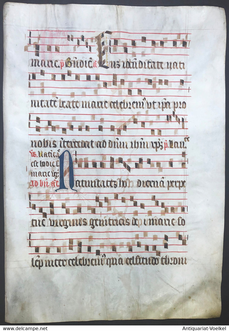 Very Rare Large Elephant Folio Vellum Sheet. Out Of An Antiphonary Manuscript From The 15th Century. / Seltene - Théâtre & Scripts